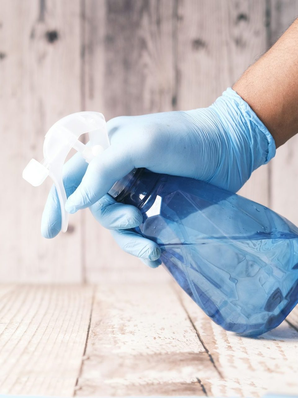 Blue-gloved hand holding a spray bottle